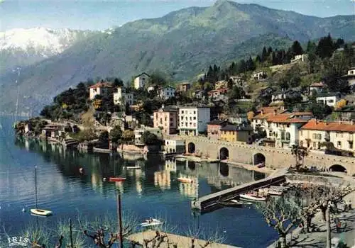 AK / Ansichtskarte  Ascona_Lago_Maggiore_TI Panorama Hafen