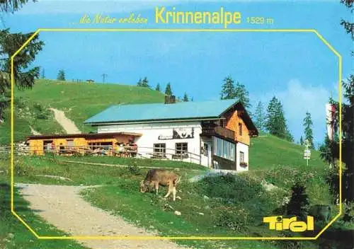 AK / Ansichtskarte 73969384 Krinnenalpe_1529m_Tannheim_Tirol_AT Almgaststaette