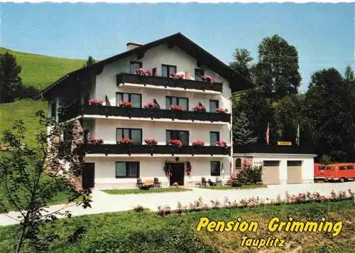 AK / Ansichtskarte 73969462 Tauplitz_Steiermark_AT Pension Grimming
