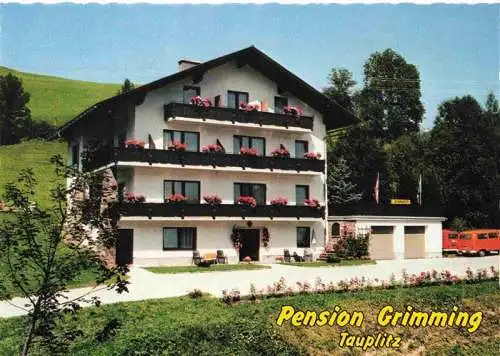 AK / Ansichtskarte  Tauplitz_Steiermark_AT Pension Grimming