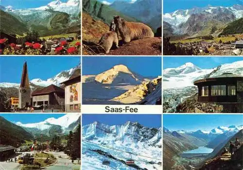 AK / Ansichtskarte  Saas-Fee_VS Teilansichten Wintersportplatz Walliser Alpen Murmeltier