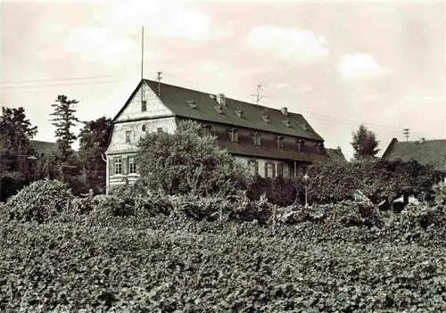 AK / Ansichtskarte  Winkel_Oestrich-Winkel Brentano-Haus