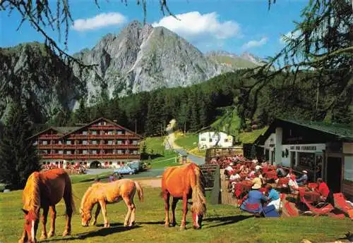 AK / Ansichtskarte 73969877 Falzeben_Hafling_Bozen_Suedtirol_IT mit Ilfinger Haflinger Pferde