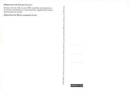 AK / Ansichtskarte  Carnac_56_Morbihan Alignements de Carnac vue aérienne