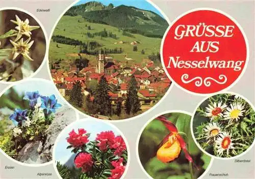 AK / Ansichtskarte  Nesselwang_Allgaeu_Bayern Ortsansicht div Alpenflora