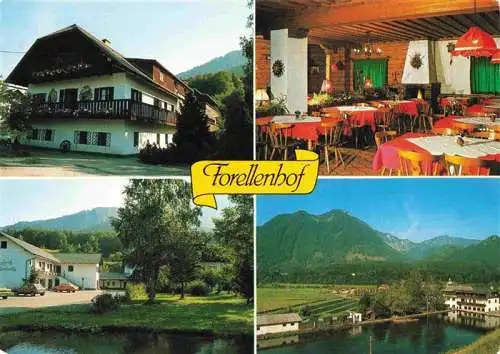 AK / Ansichtskarte  Gruenau_Almtal_Oberoesterreich_AT Forellenhof Wieselmuehle Gastraum Panorama