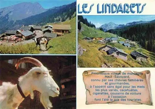 AK / Ansichtskarte  Montriond_Morzine_74_Haute-Savoie Les Lindarets