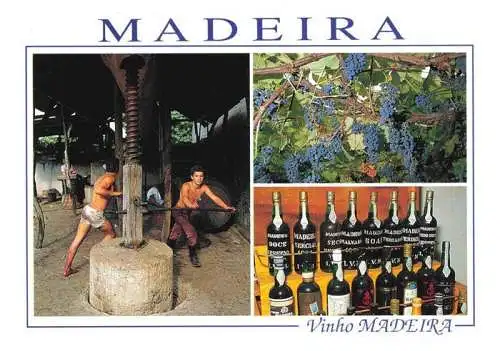 AK / Ansichtskarte 73970258 FUNCHAL_Madeira_PT Vinho Madeira Weinpresse Reben Weinregal