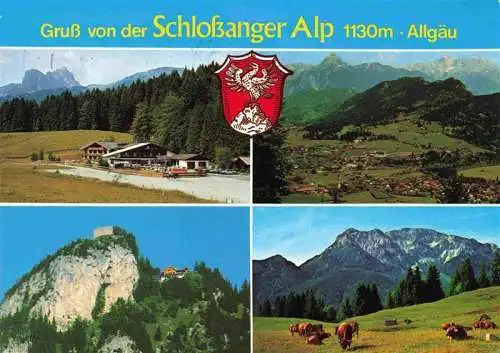 AK / Ansichtskarte  Obermeilingen_Pfronten Berghotel Schlossanger Alm Fliegeraufnahme Panorama