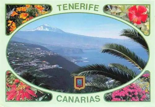 AK / Ansichtskarte 73970280 Tenerife_Islas_Canarias_Spanien_ES El Teide Panorama