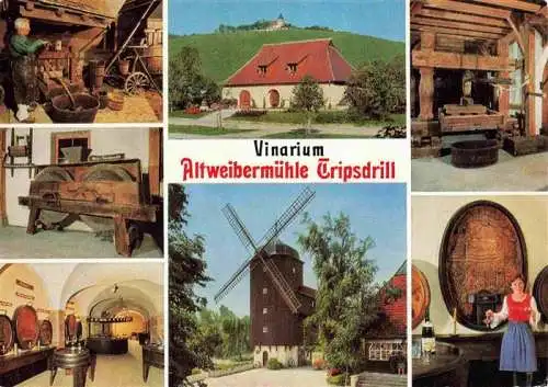 AK / Ansichtskarte 73970368 Tripsdrill_Cleebronn Altweibermuehle Vinarium Ausflugs- und Erholungspark