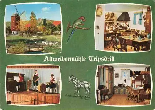 AK / Ansichtskarte  Tripsdrill_Cleebronn Altweibermuehle Ausflugs- und Erholungspark Gaststaette Tierpark