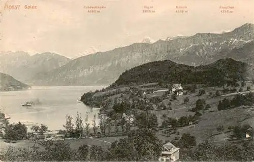 AK / Ansichtskarte  SPIEZ_Thunersee_BE Panorama Berner Alpen