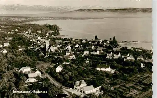 AK / Ansichtskarte  Immenstaad_Bodensee Panorama Alpenkette