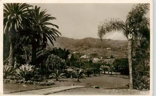 AK / Ansichtskarte  FUNCHAL_Madeira_PT View from the British Country Club