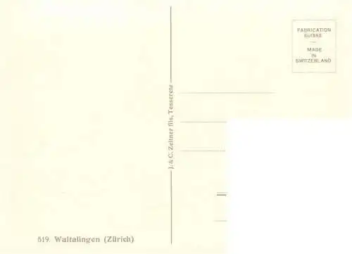 AK / Ansichtskarte  Waltalingen_ZH Dorfansicht mit Kirche Kuenstlerkarte