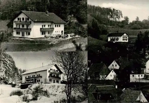 AK / Ansichtskarte  Obertrubach Waldhaus Hering