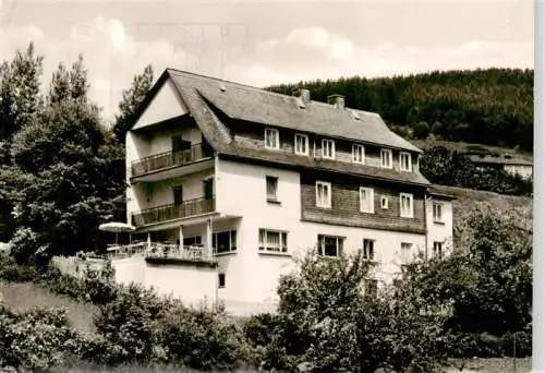 AK / Ansichtskarte  Willingen_Sauerland Haus Waldfrieden