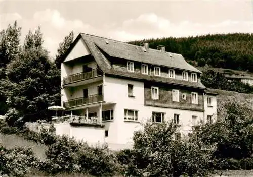 AK / Ansichtskarte  Willingen_Sauerland Haus Waldfrieden