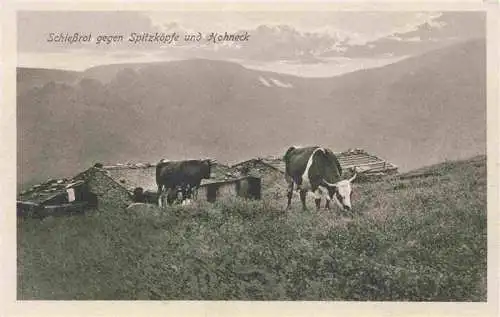 AK / Ansichtskarte  Schiessrot_Munster_68_Haut-Rhin mit Spitzkoepfe und Hohneck