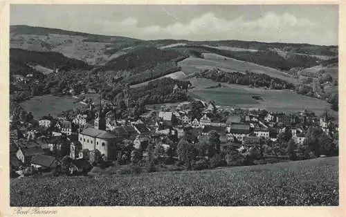 AK / Ansichtskarte  Bad_Reinerz_Duszniki-Zdroj_PL Panorama