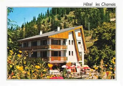 AK / Ansichtskarte  Col_de_Turini_06 Hotel Restaurant Les Chamois