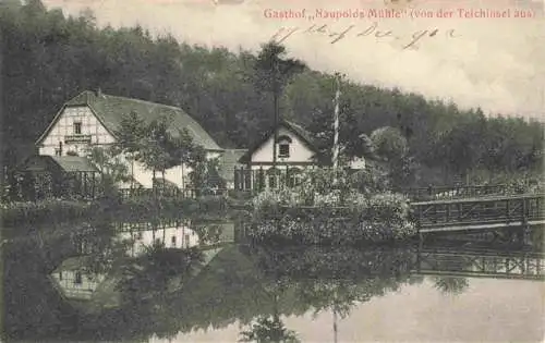 AK / Ansichtskarte 73971599 Eisenberg__Thueringen Gasthof Naupolds Muehle von Teichinsel aus gesehen