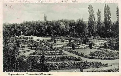 AK / Ansichtskarte  Sangerhausen__Suedharz Rosarium Feldpost