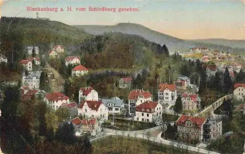 AK / Ansichtskarte  Blankenburg_Harz Panorama Blick vom Schlossberg aus