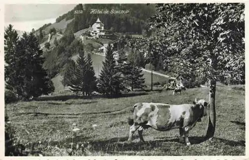 AK / Ansichtskarte  Sonloup_Les_Avants_VD Hôtel de Sonluop Viehweide Kuehe