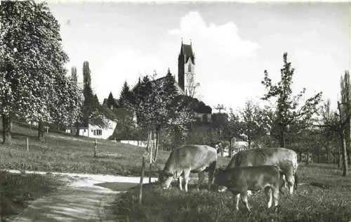 AK / Ansichtskarte  MaeNNEDORF_ZH Viehweide Kuehe Blick zur Kirche