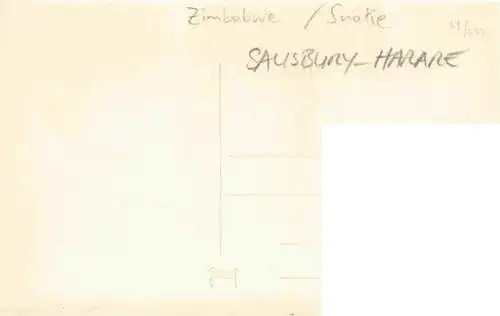 AK / Ansichtskarte  Salisbury__Harare_Rhodesia_Simbabwe Snake Park Southern Rhodesia