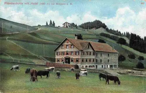 AK / Ansichtskarte 73971974 Pfaenderdohle_Bregenz_Vorarlberg_AT mit Hotel Viehweide Kuehe
