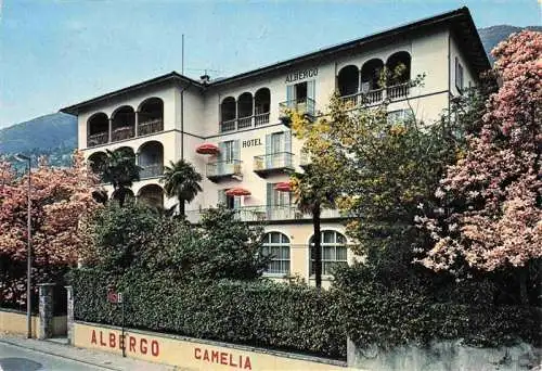 AK / Ansichtskarte  Muralto_Locarno_Lago_Maggiore_TI Albergo Camelia Hotel