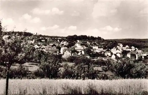 AK / Ansichtskarte 73972099 Rimhorn_Luetzelbach_Hessen Panorama