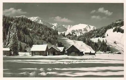 AK / Ansichtskarte  Hirschegg_Kleinwalsertal_Vorarlberg_AT Alpe Oede mit Steinmandl Winterpanorama