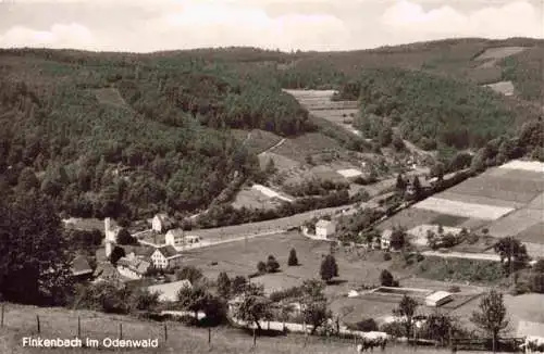 AK / Ansichtskarte  Finkenbach_Odenwald_Hessen Panorama Gasthaus Pension zur Traube