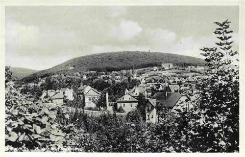 AK / Ansichtskarte  Hofheim_Taunus Panorama Blick zum Kappenberg