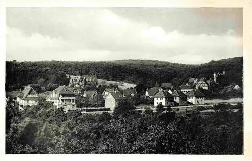 AK / Ansichtskarte  Hofheim_Taunus Panorama