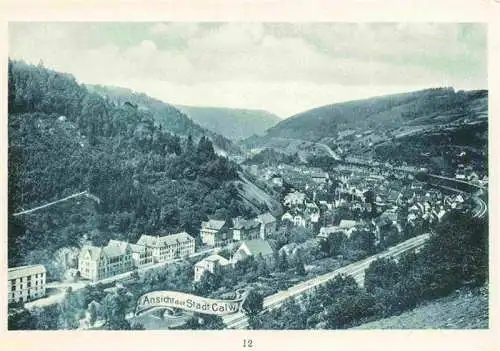 AK / Ansichtskarte  Calw Stadtpanorama