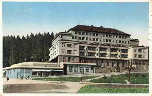 AK / Ansichtskarte 73972836 Lazne_Luhacovice_Bad_Luhatschowitz_CZ Hotel Palace