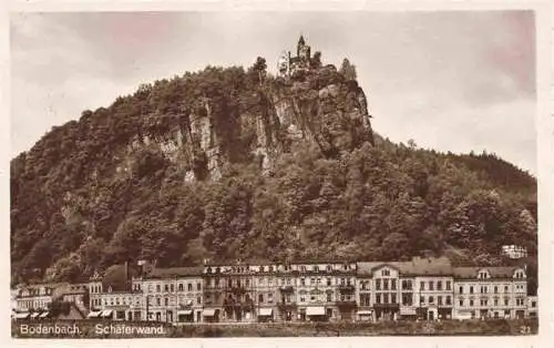 AK / Ansichtskarte 73972923 Bodenbach__Elbe-Tetschen_DECIN_Boehmen_Ustecky_Kraj_CZ Hotels Schaeferwand