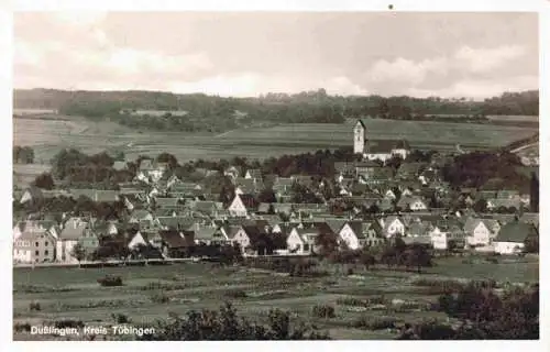 AK / Ansichtskarte  Dusslingen_BW Panorama