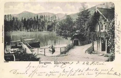 AK / Ansichtskarte 73973048 Saeckingen_Bad_BW Bergsee