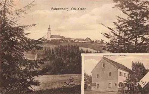 AK / Ansichtskarte  Esternberg_Oberoesterreich_AT Panorama Daspelgrubers Kaufhaus