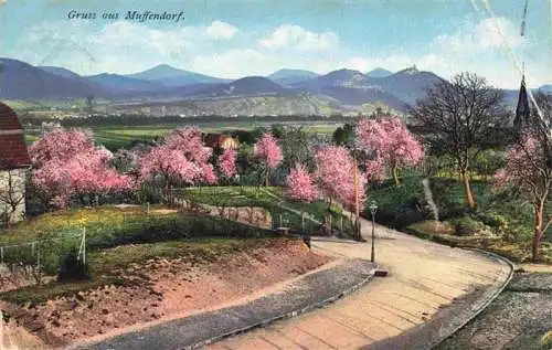 AK / Ansichtskarte  Muffendorf_Bonn_NRW Panorama Pfirsichbluete