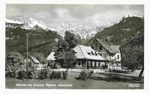 AK / Ansichtskarte 73973303 Muehlau_Admont_Steiermark_AT Pension Alpenheim Alpenblick