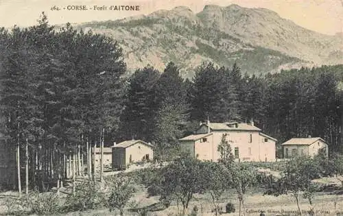 AK / Ansichtskarte  Aitone_Foret_d_Albertacce_2B_Haute-Corse Panorama
