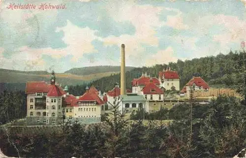 AK / Ansichtskarte  Neustadt_Sachsen Heilstaette Hohwald