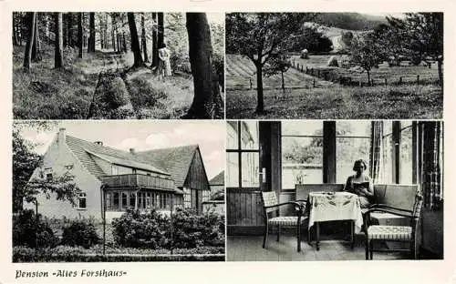 AK / Ansichtskarte 73973520 Gehrden_Brakel_Westfalen Pension Altes Forsthaus Waldpartie Landschaft Felder